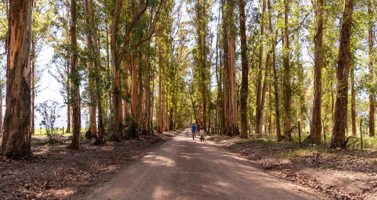 Africamps At Oakhurst ワイルダーネス エクステリア 写真